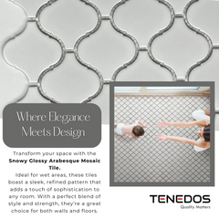 Tenedos Snowy Glossy Arabesque Porcelain Patterned Look Wall Tile-1 piece