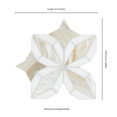 Athena Gold Estrella 10" X 10" Polished Marble Mosaic Floor And Wall Tile by MSI