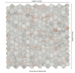 Briar Rosa Penny Round 12 in. x 12 in. Matte Mesh-Mounted Mosaic Wall Floor Tile