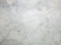 Turkish Carrara Marble 12X12 MSI HONED