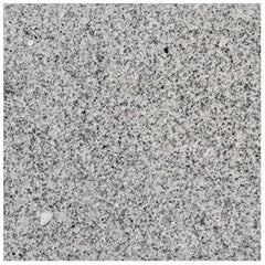 12 x 12 Polished Granite Tile in Bianco Catalina (Box of 5 pieces)