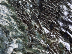 Dark Green Baltic Sea Algae Wavy Look Square 6x6 Porcelain Floor and Wall Tile for Swimming Pools, Kitchen Backsplash, Bathroom Walls, Accent Walls