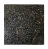12x12 Ubatuba Dark Green Speckled Polished Granite Floor and Wall Tile for Kitchen Bath Wall Backsplash