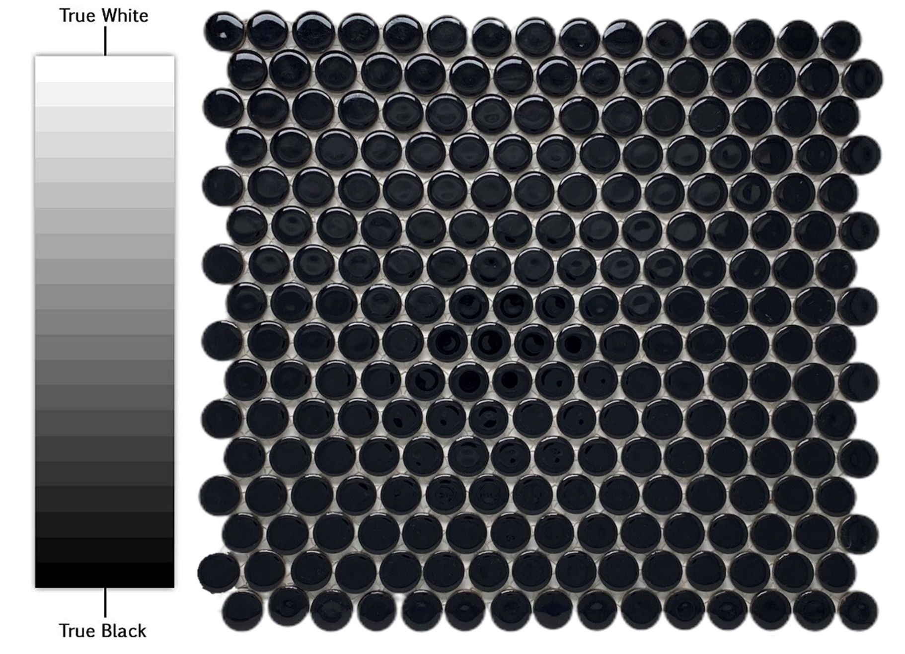 Penny Round Tile Black Porcelain Mosaic Shiny Look (Box of 5.1 Sq Ft)