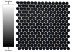 Penny Round Tile Black Porcelain Mosaic Shiny Look (Box of 5.1 Sq Ft)