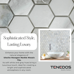 Tenedos Ulexite Hexagon Marble Mosaic Tile-1 piece