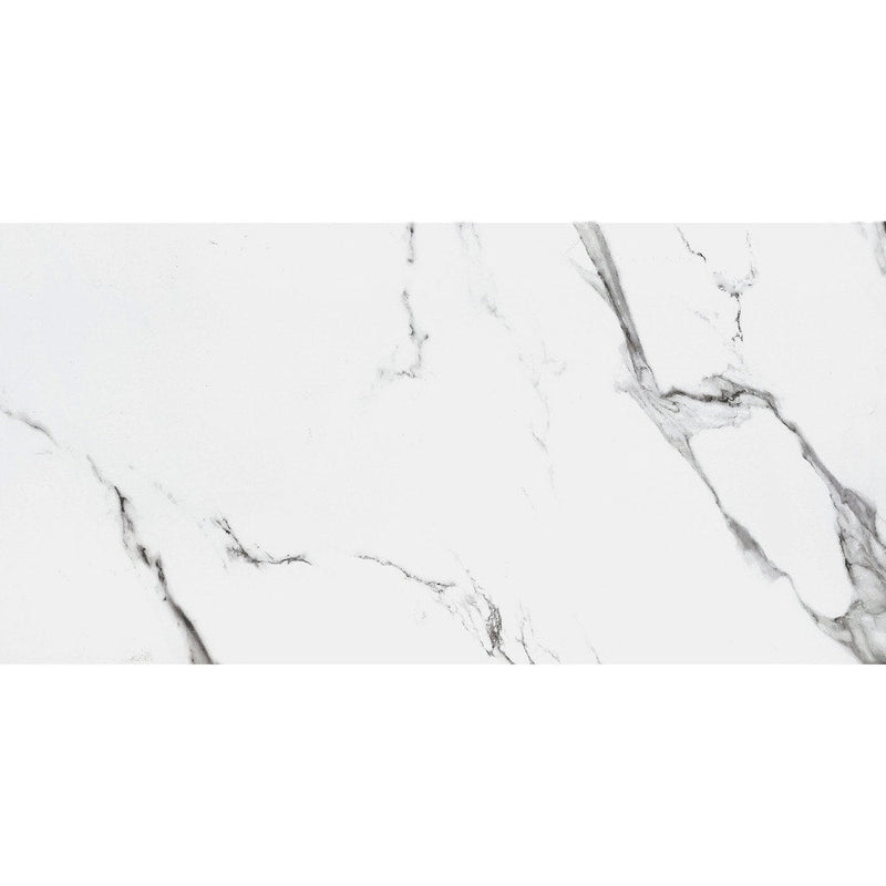 Statuary 12 in. x 24 in. Polished Porcelain for Floor and Wall Tile (40 Pieces/Case) - Tenedos