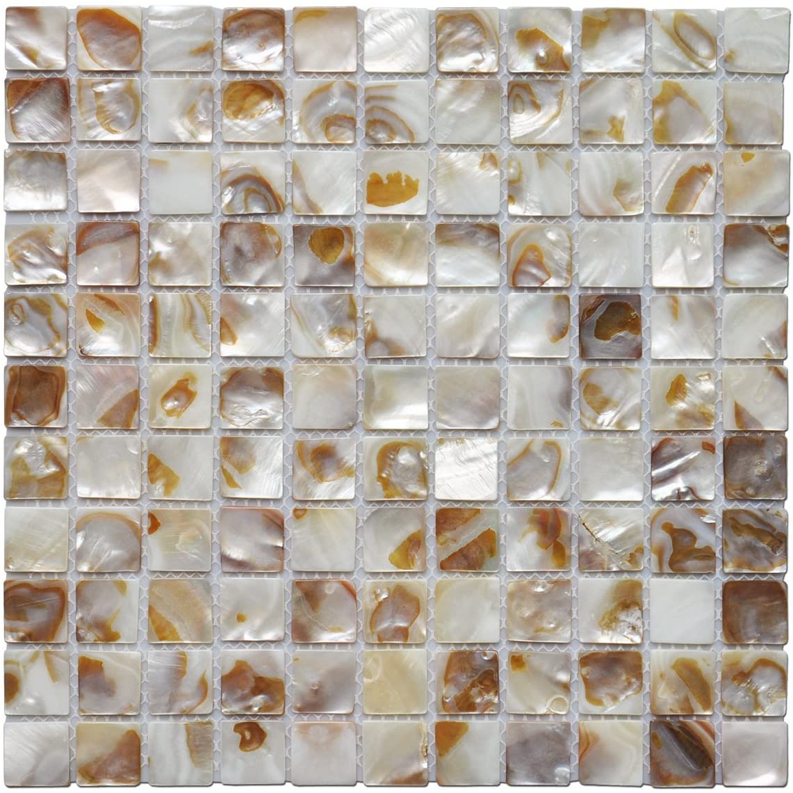 Tenedos Mother of Pearl Tile Natural Varied Sea Shell Square Wall