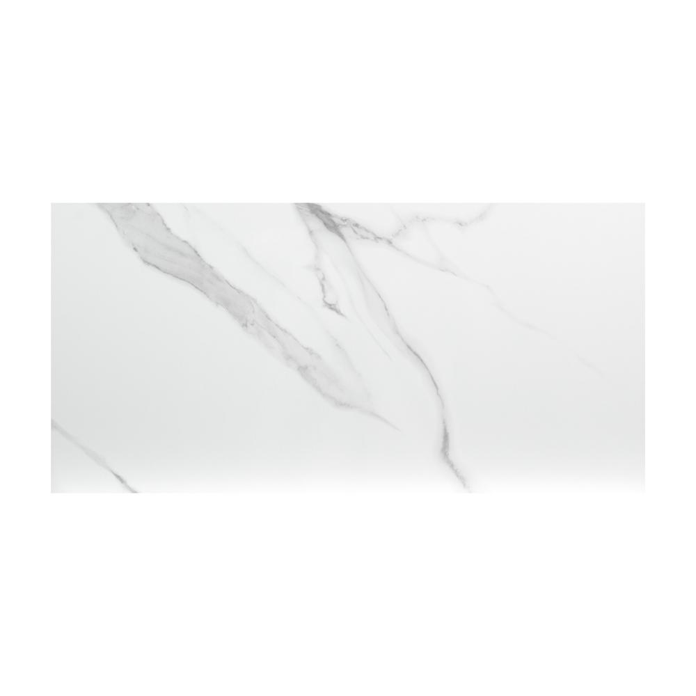 Dymo Statuary White Glossy 12x24 Glazed Wall Ceramic Tile (16 sq. ft./Case)
