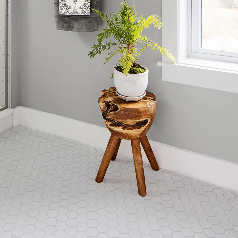 USCT White 2 inch Hexagon Porcelain Mosaic Wall Tile for Kitchen Backsplash, Bathroom Shower, Accent Wall-  10pcs/carton (10 sq ft)