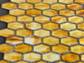 #color_Saffron